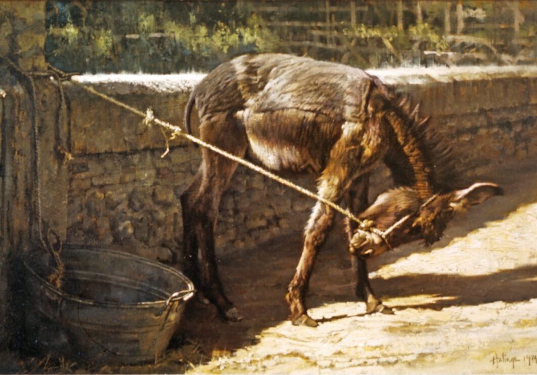 clark-hulings-burro