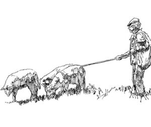 Spanish Shepherd, by Clark Hulings